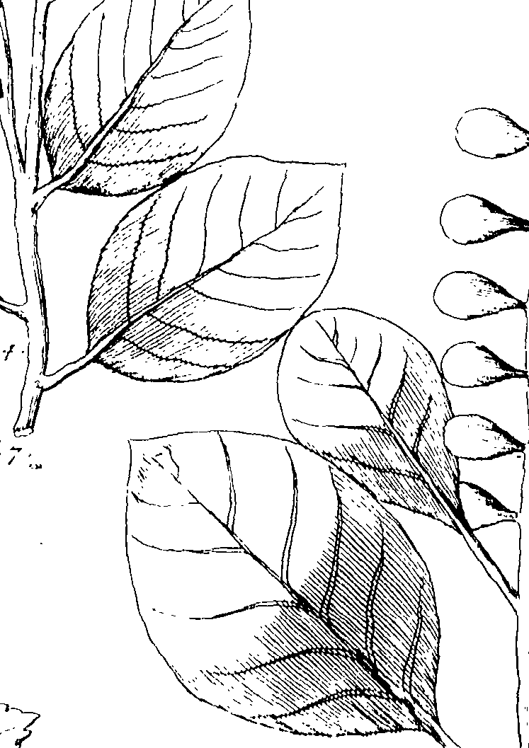 103/103590030003340_1.png
