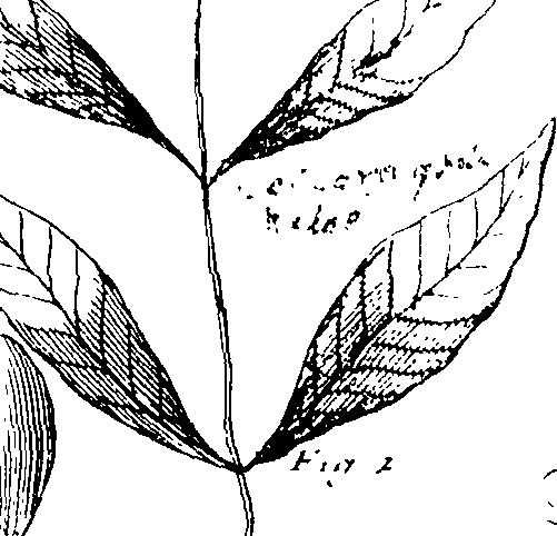 103/103590030003340_2.png