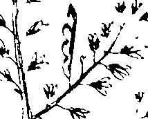 103/103590030003350_1.png