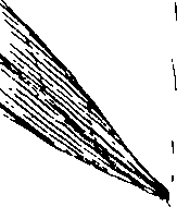103/103590030003350_2.png