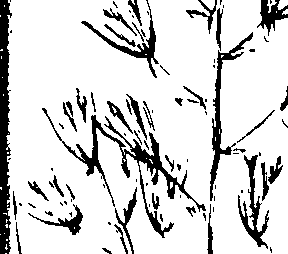 103/103590030003370_0.png