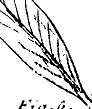 103/103590030003390_0.png