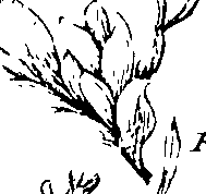 103/103590030003390_1.png