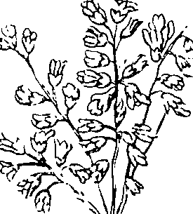 103/103590030003390_2.png