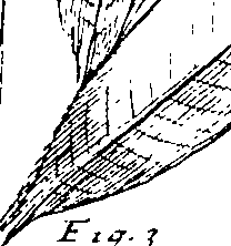 103/103590030003390_3.png