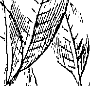 103/103590030003390_4.png