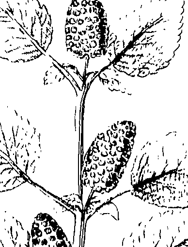 103/103590030003400_0.png