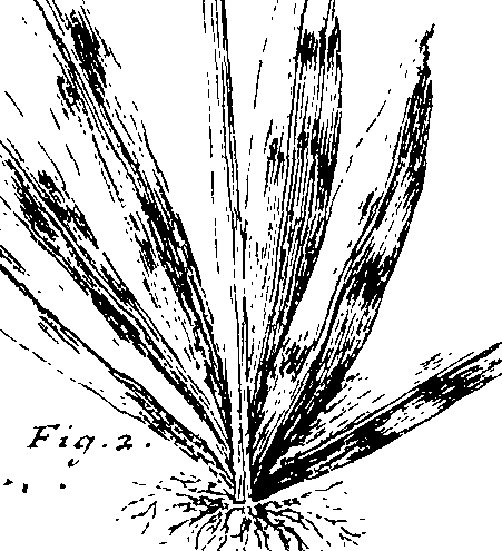 103/103590030003400_1.png