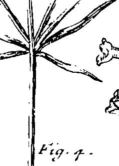 103/103590030003410_0.png