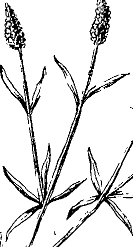 103/103590030003410_1.png