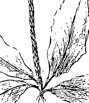 103/103590030003410_3.png