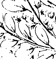 103/103590030003420_0.png