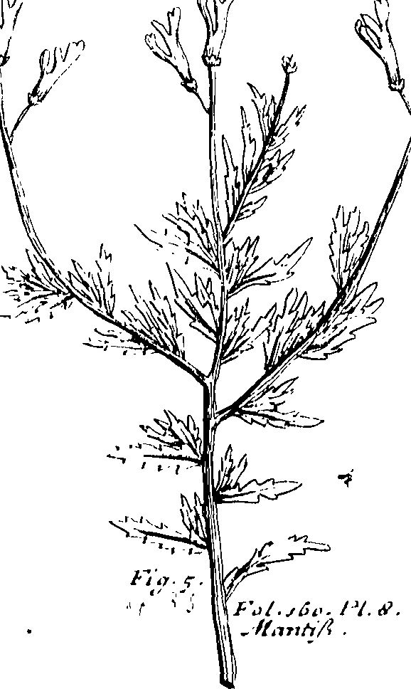 103/103590030003430_0.png