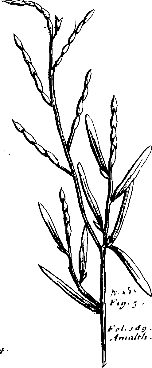 103/103590030003460_0.png