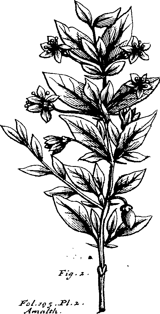 103/103590030003460_1.png