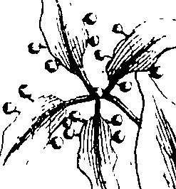 103/103590030003470_0.png
