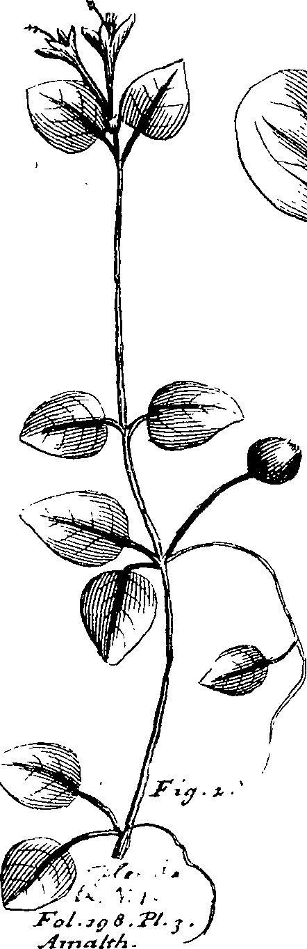 103/103590030003470_1.png
