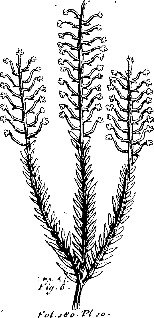 103/103590030003480_0.png