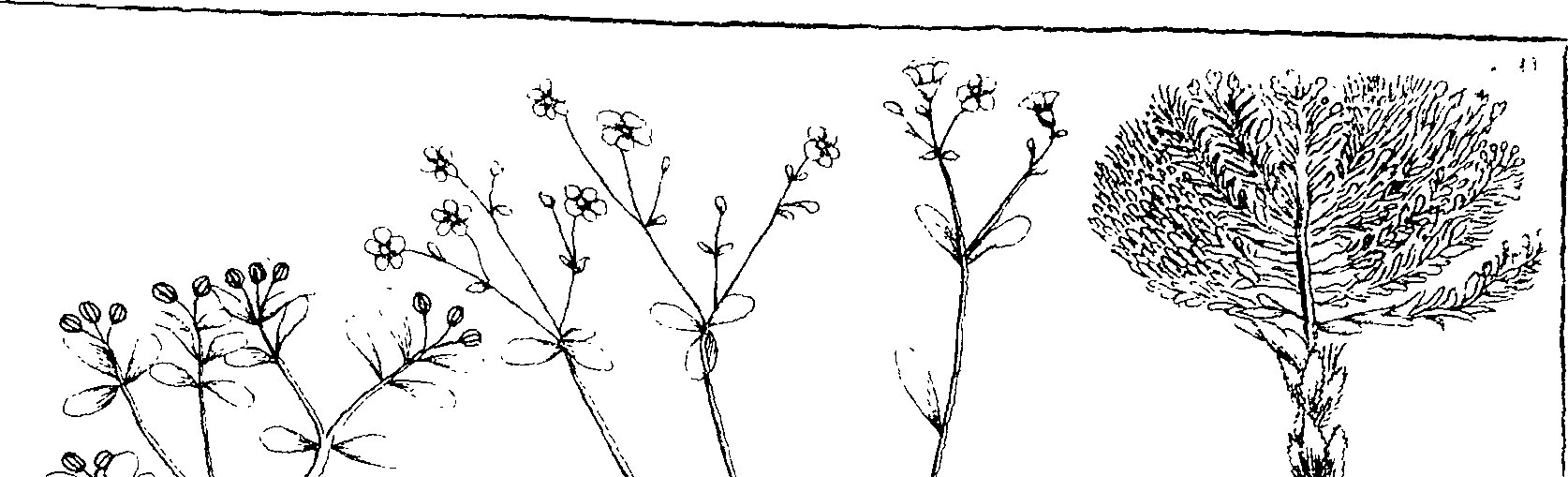 103/103590030003490_0.png