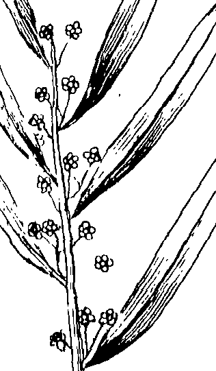 103/103590030003530_0.png