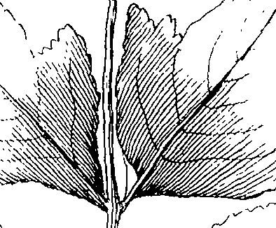 103/103590030003530_1.png