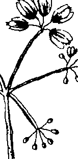 103/103590030003550_1.png