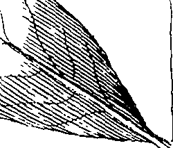 103/103590030003550_2.png