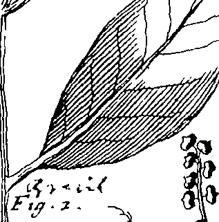 103/103590030003550_3.png