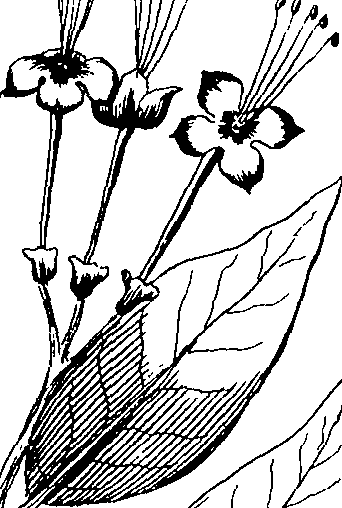 103/103590030003550_5.png