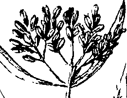 103/103590030003570_2.png