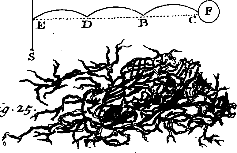 103/103600070103510_0.png