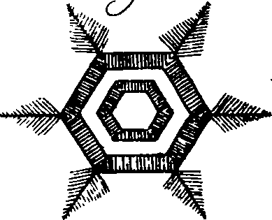 103/103600070203440_1.png