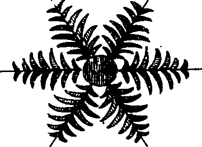 103/103600070203440_2.png