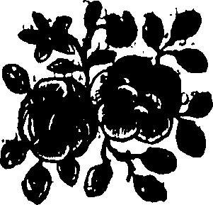 103/103700130000020_0.png