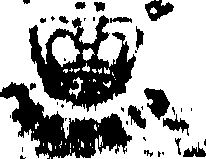 103/103720020000310_0.png