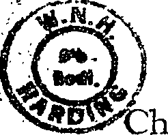 103/103820050000030_0.png