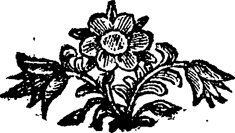 103/103830080000120_0.png