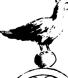 103/103840010000010_0.png
