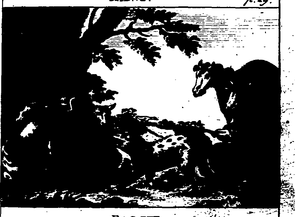 103/103850020000300_1.png