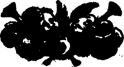 103/103890020000020_0.png