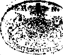 103/103890050001140_0.png