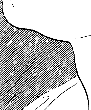 103/103890080000160_0.png
