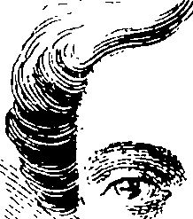 103/103890080000190_1.png