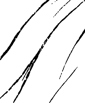 103/103890080000220_0.png