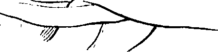 103/103890080000300_0.png