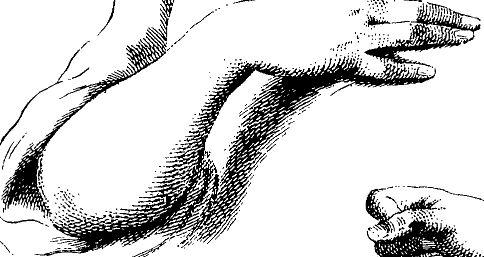 103/103890080000330_1.png