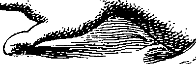 103/103890080000340_0.png