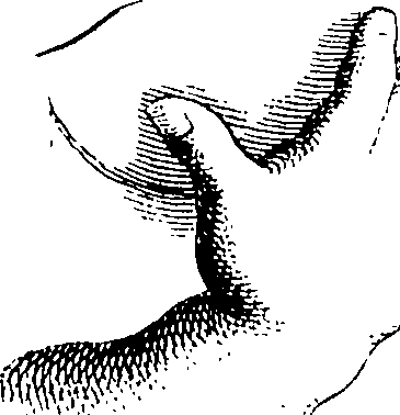 103/103890080000350_0.png