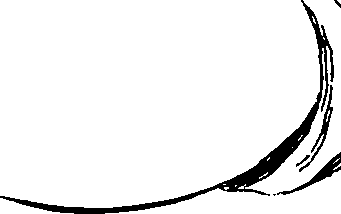 103/103890080000360_0.png