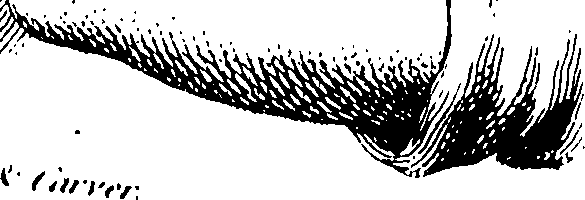 103/103890080000370_0.png